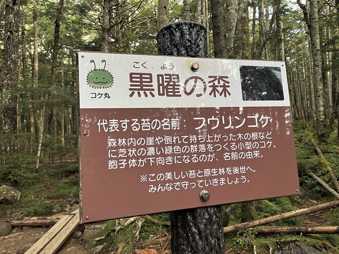 【この秋、絶対！ 八ヶ岳】第7回「縞枯山」 縞枯模様と苔の森を歩く不思議な山の画像005
