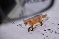 超過酷体験！「真冬の北海道で雪中泊できるおすすめキャンプ場」3選【絶景キャンプ場ガイド-言葉を失うほどの風景に会いに行こう- vol.36】の画像006