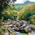 秋を彩る鮮やかな紅葉で人気！  シーズン中は20万人が訪れる「御在所岳」 裏登山道コースで往復「11月上旬・登山レポ」の画像006