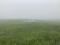 一度は登りたい「広い山頂」が絶景の山！ 眼下の眺めも良いけれど「大湿原・岩塊の大地」頂上エリアこそ見どころ【蓼科山／硫黄岳／苗場山】 の画像013