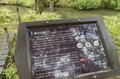 もはや、癒しでしかない！  “心が深呼吸する” 美しい森の流れでフライフィッシング「日光・湯川とブルックトラウト」 2024年6月・栃木県の画像002