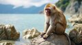 日本の山で見かける野生動物たち「あなたはどの動物にあったことがありますか？」 山の妖精オコジョから毒ヘビまでの画像006