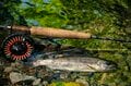 【渓流釣り】 目に染みるような緑の渓で陽光に輝くアマゴに目を細め、うつろう季節を感じながら御嶽山の裾野でフライフィッシング！ 「上流より下流の方が好釣果」  長野県・木曽川漁協エリア 2024年の画像002