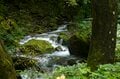 【渓流釣り】気がつけばシーズン終盤！  ゾーニングされた神流川の中ノ沢「毛ばり釣り専用区」と、キャッチ＆リリース区間でのイブニング　群馬県上野村｜2026年の画像001