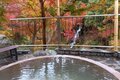 埼玉県在住ライターが教える「秋キャンプ」に最適な「温泉＆焚き火」を贅沢に楽しめる「秩父の3つのキャンプ場」の画像003