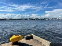 親子で手軽に釣りができる「東京湾」防波堤でターゲットにしたい魚3選！  数釣りもOK＆夏の定番から、意外な「憧れの釣魚」まで