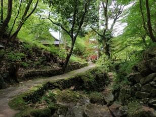 低山でも「360度パノラマ」絶景！  兵庫県丹波市「石金山」紅葉の名所「小新屋観音」から、清涼感あふれる「源流＆青もみじ」2時間ハイキング