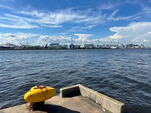 親子で手軽に釣りができる「東京湾」防波堤でターゲットにしたい魚3選！  数釣りもOK＆夏の定番から、意外な「憧れの釣魚」まで