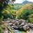 秋を彩る鮮やかな紅葉で人気！  シーズン中は20万人が訪れる「御在所岳」 裏登山道コースで往復「11月上旬・登山レポ」の画像006