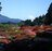 【首都圏近郊】箱根の最高峰・神山と駒ヶ岳間のハイキングコースが10年ぶりに再開通＜神奈川県・箱根町＞の画像004
