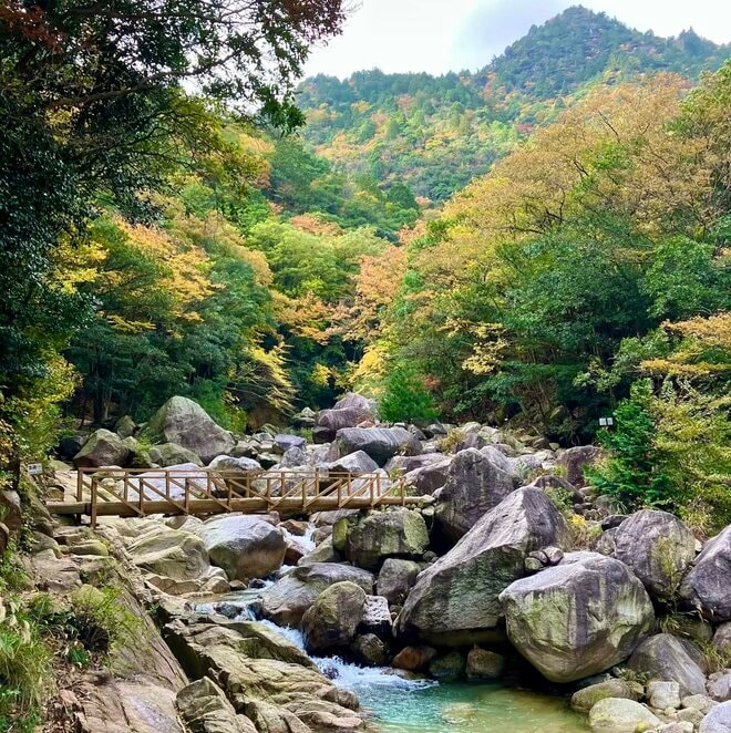 秋を彩る鮮やかな紅葉で人気！  シーズン中は20万人が訪れる「御在所岳」 裏登山道コースで往復「11月上旬・登山レポ」の画像006