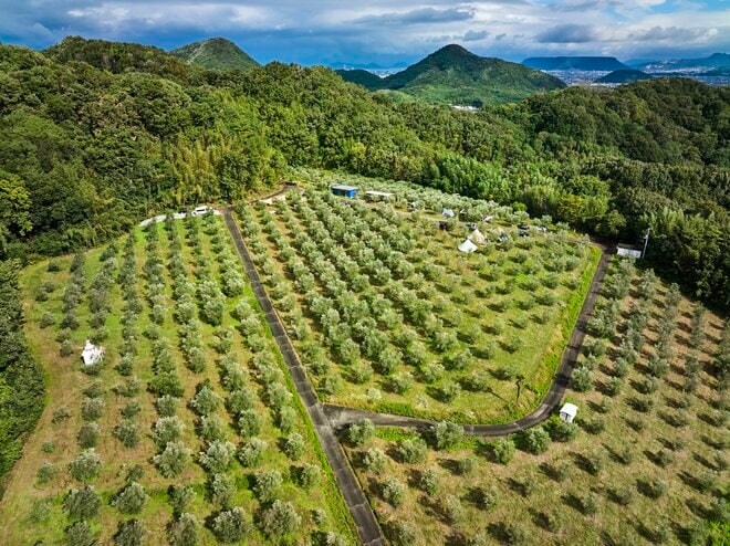 唯一無二のロケーション！「天空のオリーブ園」のキャンプ場がオシャレすぎる件【絶景キャンプ場ガイド-言葉を失うほどの風景に会いに行こう- vol.20】の画像006