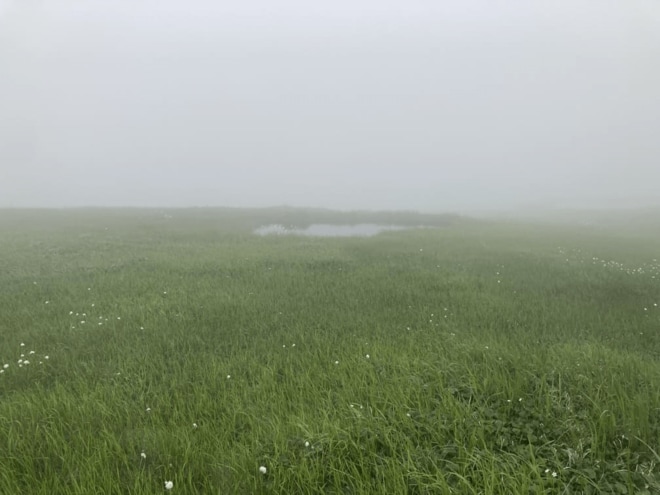 一度は登りたい「広い山頂」が絶景の山！ 眼下の眺めも良いけれど「大湿原・岩塊の大地」頂上エリアこそ見どころ【蓼科山／硫黄岳／苗場山】 の画像013
