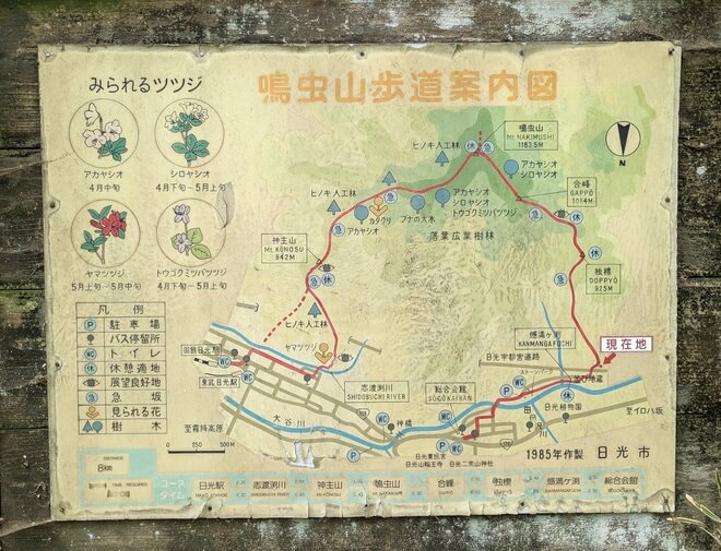 【電車で行ける】ヤマツツジの名所「日光・鳴虫山」へ　日帰りハイキング最新レポート＜2026年5月中旬＞の画像007