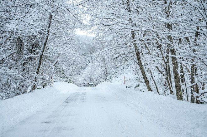 【ローカルスキー場探訪】ペアリフト1本勝負！ 平日1日券1,040円！「極上のパウダースノーを堪能」 岐阜県・飛騨高山スキー場｜2026年の画像008
