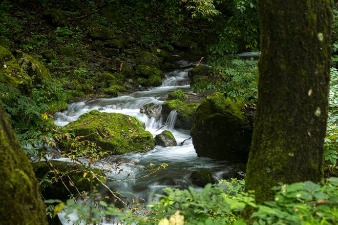 【渓流釣り】気がつけばシーズン終盤！  ゾーニングされた神流川の中ノ沢「毛ばり釣り専用区」と、キャッチ＆リリース区間でのイブニング　群馬県上野村｜2026年の画像001