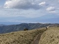 秋の訪れとともに登りたい！  伊豆「金冠山・達磨山」まるで公園の芝生のような稜線歩き「富士山＆駿河湾」の絶景「登山レポ」の画像005