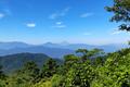 どっちに行くか！？  対決「週末の登山」首都圏版！「高尾山6号路」vs「御岳山ロックガーデン」涼感「ヒーリングスポット」清流・滝・ランチ「3番勝負」レポの画像002