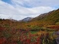 【2024年10月 第2週】今週末の紅葉見るならどこ？  名所＆人気スポットの最新情報をお届け「WEEKLY紅葉ニュース」の画像003