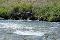 「最高に楽しくて最高に危ない」1人で川を旅するリスクと注意点＜前編＞【ユーコンカワイの股旅リバログ vol.15】の画像003