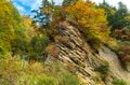 【紅葉＆登山】一面が黄色に染まるブナの原生林！ 紅葉真っ盛り！ 錦秋のトレイルを歩く中西山トレッキング 長野県長野市鬼無里・2023年の画像011