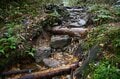 山は誰が守っていくのか？  従来の枠組みを超えた「未来型の登山道管理」へ【100年先までつなぐ、大雪山の自然と登山道 vol.3】の画像009