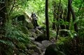 【開聞岳＆霧島山】登山好きを魅了する鹿児島の「日本百名山 2座」を “はしご” でめぐるの画像006