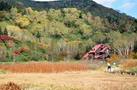 【長野県・栂池自然園】紅葉の絨毯を歩いた先には“ご褒美の景色”が待っている！  錦秋に抱かれた「白馬三山」を観に行こう！ 
