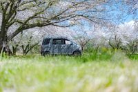 車中泊で必要なものを初心者向けに解説！  あると便利なグッズも紹介