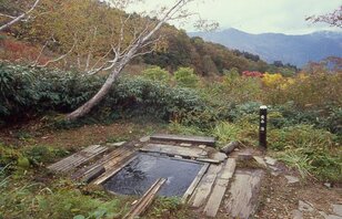 10月初旬「北アルプス紅葉」は蓮華温泉から白馬大池まででもOK！  登山デビューの頃におすすめされたコース「錦秋の登山道＆野天風呂」レポ