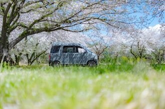 本州では2ヵ所だけ！ 希少な高山植物・九十九草（ツクモグサ）に