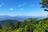 どっちに行くか！？  対決「週末の登山」首都圏版！「高尾山6号路」vs「御岳山ロックガーデン」涼感「ヒーリングスポット」清流・滝・ランチ「3番勝負」レポの画像002