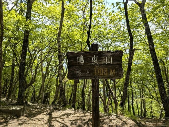 【電車で行ける】ヤマツツジの名所「日光・鳴虫山」へ　日帰りハイキング最新レポート＜2026年5月中旬＞の画像011
