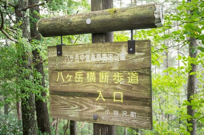 【日帰りでもしっかり登りたい！】首都圏からのアクセス＆登り応え抜群「八ヶ岳・編笠山と権現岳」の画像005