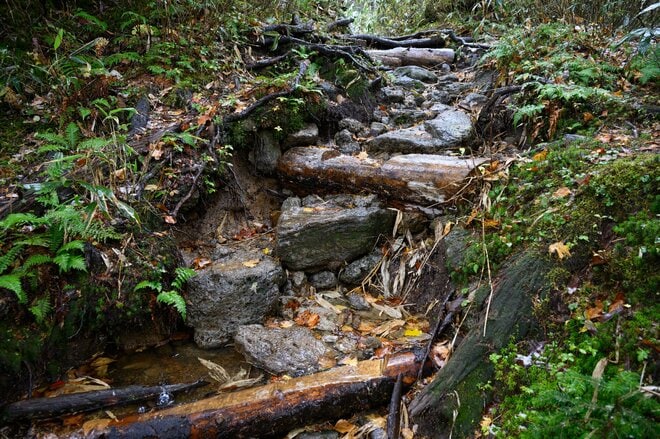 山は誰が守っていくのか？  従来の枠組みを超えた「未来型の登山道管理」へ【100年先までつなぐ、大雪山の自然と登山道 vol.3】の画像009