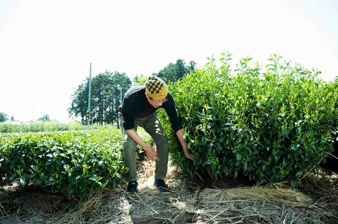静岡・宇治と並ぶ日本三大銘茶の里で八十八夜直前の茶畑へ！ 老舗専門店で生産者が語る東京近郊産地の強みとは？【フランス人茶商の茶国漫遊記 vol.04「新茶の息吹に誘われて〜狭山茶2」埼玉県日高市】の画像012