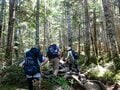 ジブリ『もののけ姫』の世界を感じる「苔の森」を抜けて目指す北八ヶ岳・天狗岳山頂「白駒池から東西天狗岳の往復約6時間30分コース」の画像002