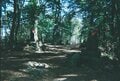 若者のあいだでブーム再燃！？ 「レンズ付きフィルム」 高尾山ハイキングで使ってみて分かった “懐かしくて新しい” 山写真の楽しみ方の画像010