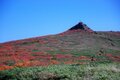 今年は色づきがブラボー！「本州で一番早い紅葉」と名峰・岩手山を眼前に望む絶景のトレイル＜前編・岩手県 三ツ石山＞【今日も山旅気分 vol.9】の画像002