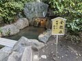 縁結びのパワースポット！  生田神社の「普通のおみくじ」と「水みくじ」Ｗ大吉なのにアドバイスは厳しめで仰天【関西おみくじジャーニー vol.26／兵庫県神戸市】の画像008