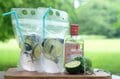 夏気分が上がる爽やかカクテル「ハーブジントニック」＆「すいかソルティードッグ」【 季節の外ごはん vol.14】の画像001