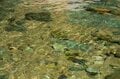 【渓流釣り】最終日前日の飛騨の渓、そぼ降る雨に警戒心がゆるむ秋色ヤマメたち　岐阜県・2025年の画像007