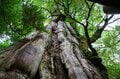 【世界自然遺産・屋久島】九州最高峰の「宮之浦岳」へ！  日本最南端の高層湿原「花之江河」を抜け、洋上のアルプスに臨むの画像021