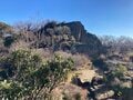 「海＆街」の絶景が魅力！  駅スタート＆ゴールで登れる「神奈川県の人気低山」3選！  コースタイム約2時間半・3時間半・4時間半でセレクトの画像001