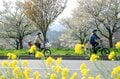 桜に菜の花、スイーツも！ 北信州の春は「サイクル＆トレイン」で大満足の旅【GO！GO！千曲川 飯山線サイクルトレインプラン春】4/5スタート の画像004