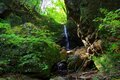 【梅雨時にこそ歩きたい】みずみずしい新緑と水の音に癒される滝見ハイクルート「御岳ロックガーデン編」【今日も山旅気分 vol.31】の画像001