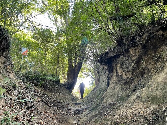 天下人・三好長慶の居城「飯盛城跡」で「絶景のハシゴ」を楽しめる＜歴史巡り里山ハイキング＞とは？【里山アドベンチャー！ソトアソ日和 vol.9】の画像010