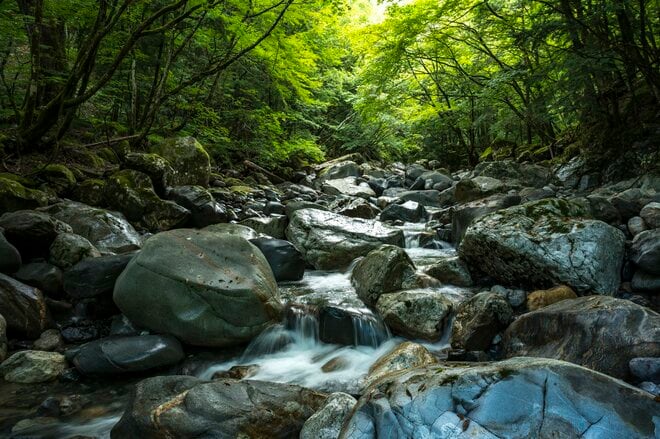 【渓流釣り】シーズン終盤！  秋の気配が漂いだした雨後の渓、堰堤の主を釣る  長野県・2025年の画像006