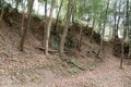 NHK大河『どうする家康』が100倍面白くなる！ 巨岩の要塞「大給城」に敷設された「とんでもない遺構」を検分！ ＜前編＞（奥三河／愛知県豊田市）【家康ゆかりの山城を攻める vol.3】の画像015