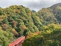 今週末の紅葉見るならどこ？　名所＆人気スポットから最新情報をお届け「WEEKLY紅葉ニュース」【2023年11月第1週】の画像005
